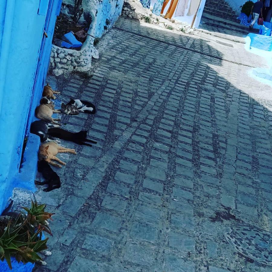 Casa Mablu Apartment Chefchaouen Exterior foto